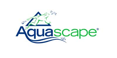 Aquascape