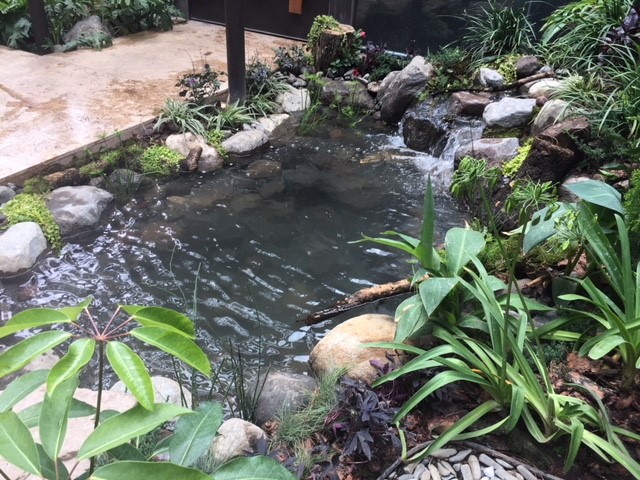 Ecosistema Natural en Avándaro.