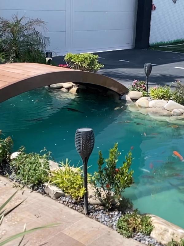 Bio-Piscina Recreativa en Monterrey