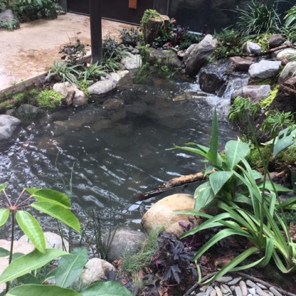 Ecosistema Natural en Avándaro.